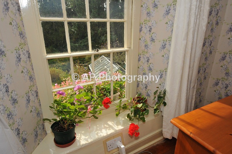ACP_9138 - Estate Agency