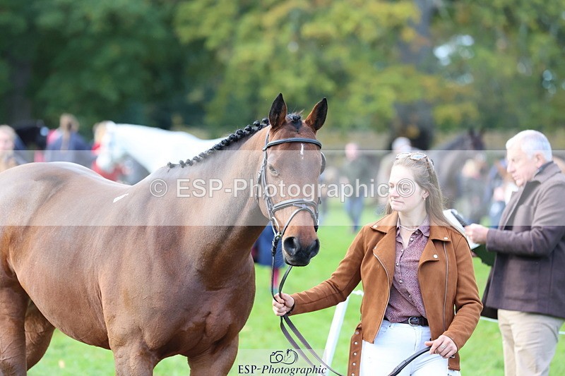 251026A-103129-23067 - E-384-Holly.Horton