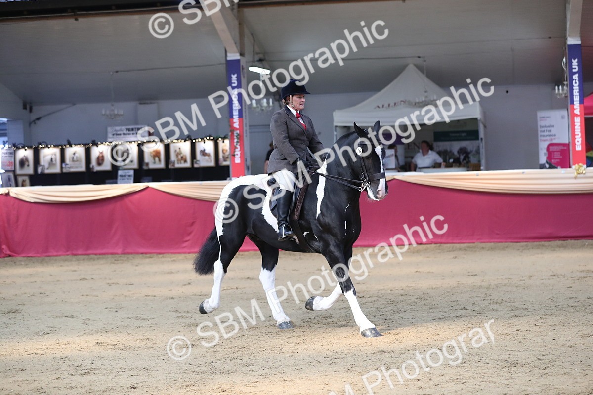 SBM_02913 - Class 6a Area Ridden Pre Vet