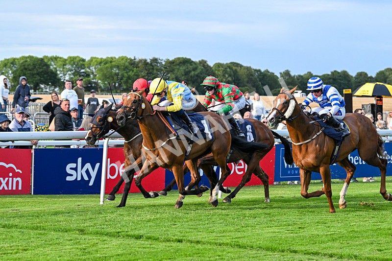 210725-Race 2-Without Flaw-6964 - Race 2