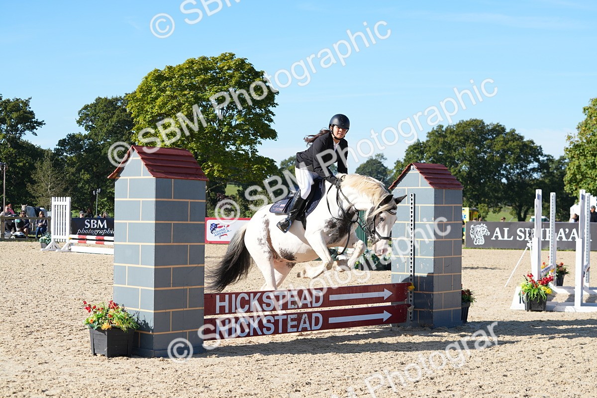 SBM_36115 - J 20 - Junior Horse 50cm Championship