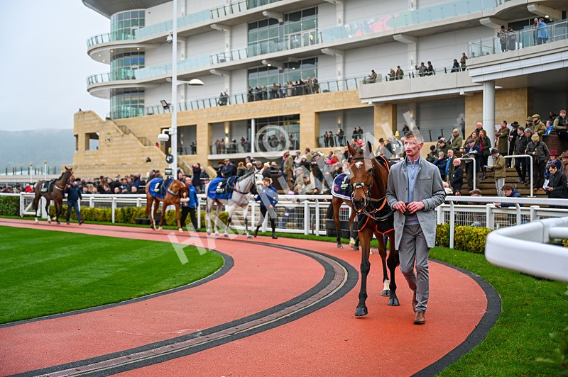 131224-Race 5-GV-9840