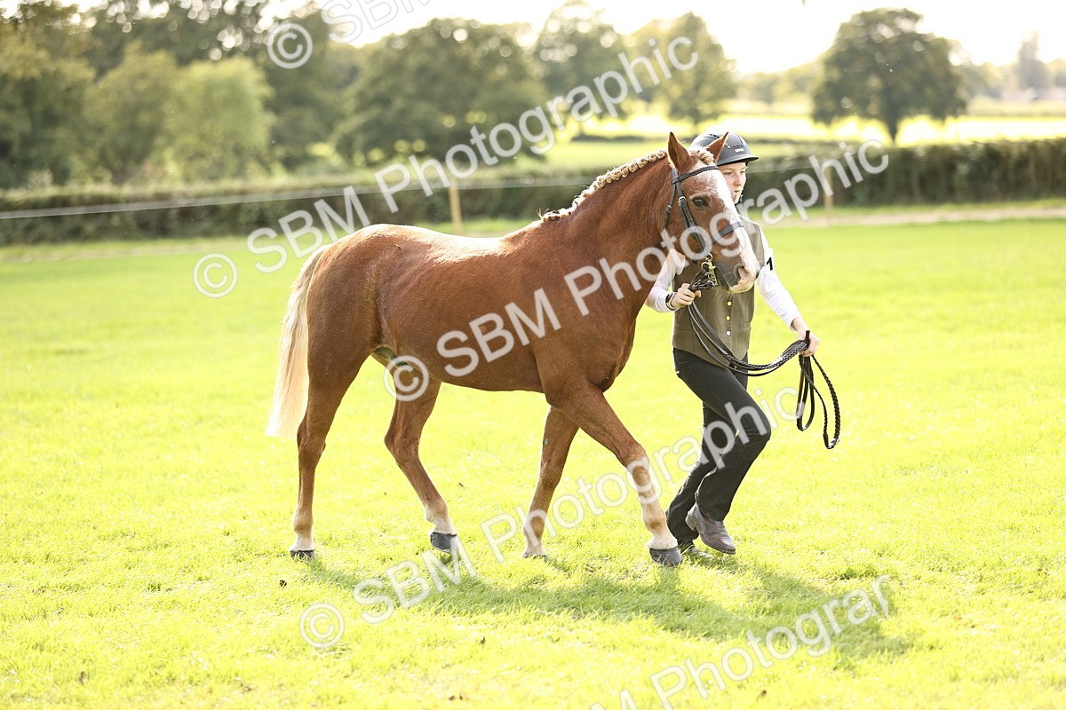 SBM_26311 - S5 - Novice & Newcomers In Hand