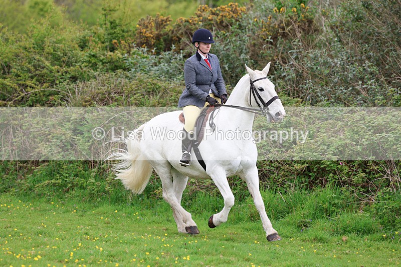 3E7A1129 - Class 7: Ridden Hunter Type