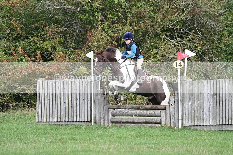 WJ7_8390 - 60cm Pairs