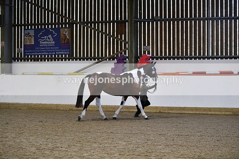 WJ5_3862 - Class 5 In Hand Veterans