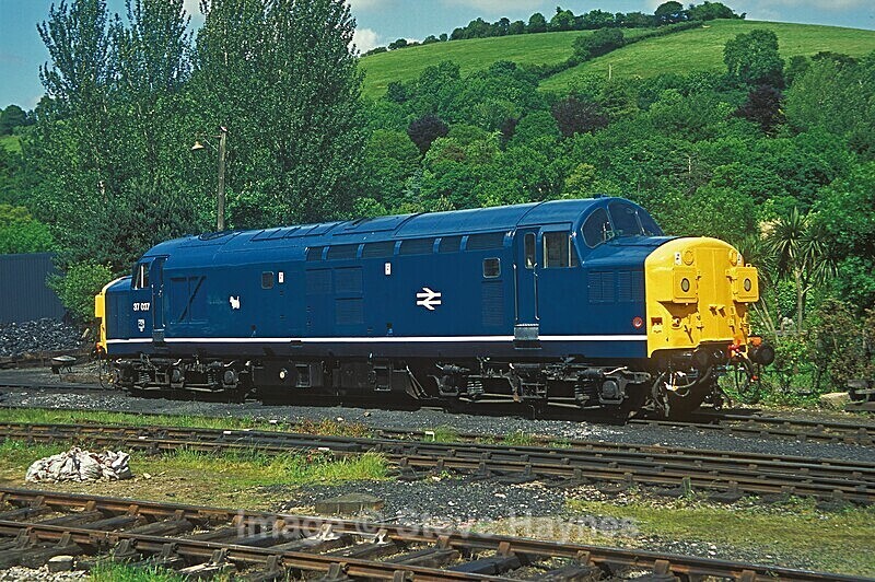 12th June 2005 - South Devon Railway, Buckfastleigh to Totnes, Devon