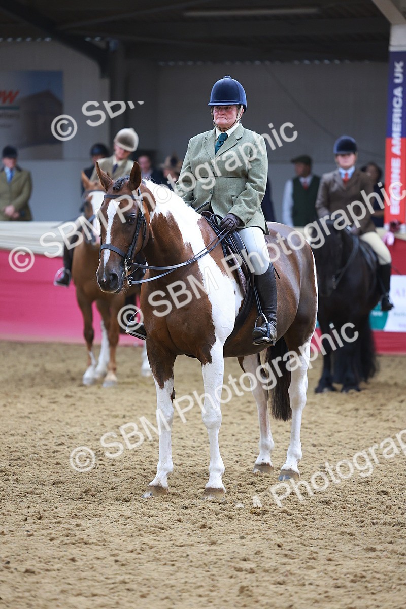 SBM_12673 - Class 103 - HOYS Veteran Qualifier - Ridden Pre Vet