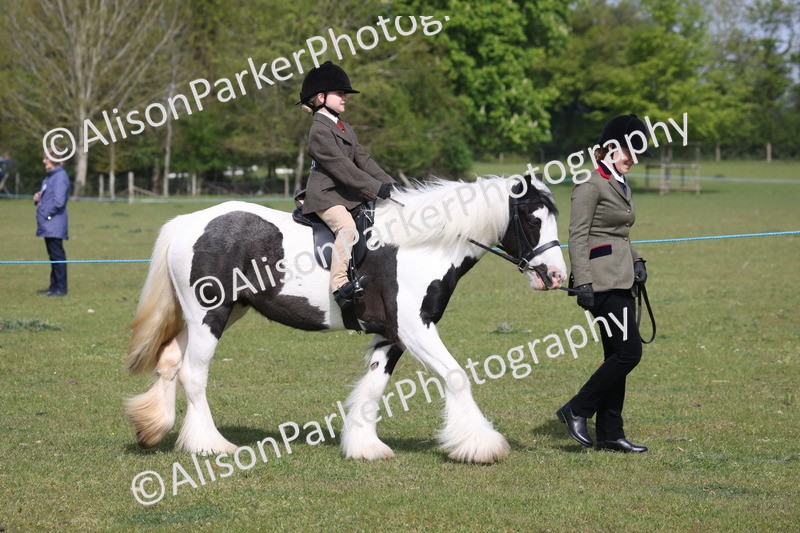 20260426-0563 - Class 31 - Leading Rein