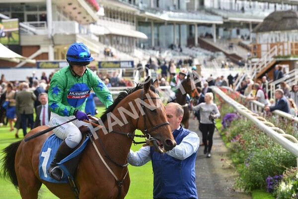 yr24092021r1-82 - Race 1 1.10pm Ernest Cooper Macmillan Ride of Their Lives