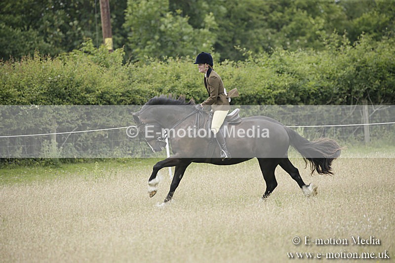 B230619-0516 - Bourne Valley Riding Club Summer Show 23/06/19