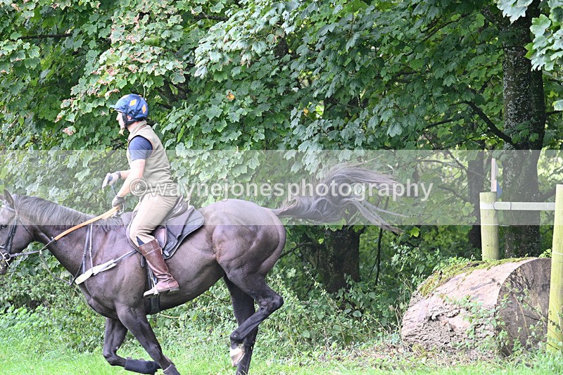 WJ7_8111 - Time 14:11 to 14:30