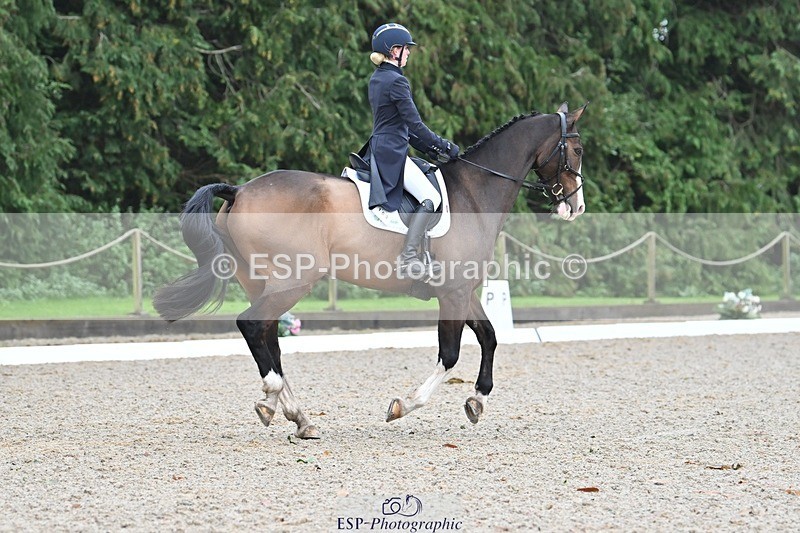 231019-104906-01981 - 103-BEECH.HILL.KIKO.CLOVER-Harriet.Blair-DR