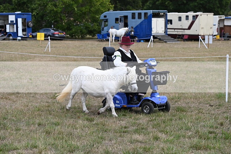 WJ6_6006 - Class 19 In-hand Veterans (Uploaded correct folder)