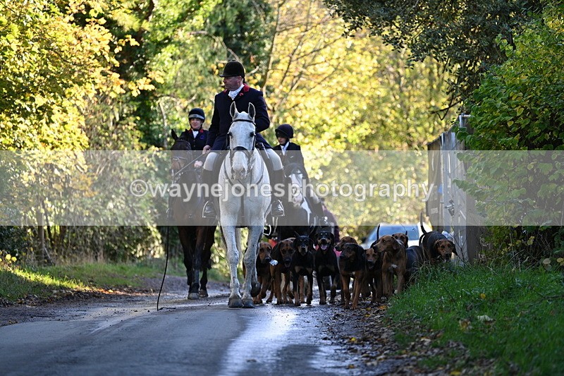 WJ7_8608 - Walk Home