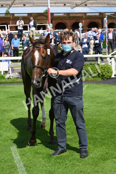 yr11062021r3-46 - Race 3 2.55pm SKF Rous Selling Stakes