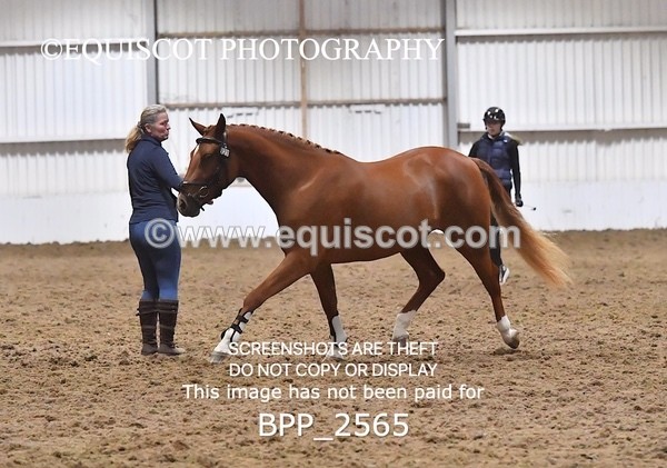 BPP_2565 - LOOSE JUMPING / SPSS