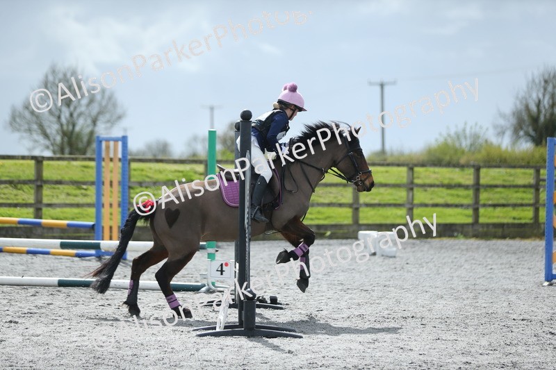 20260412-1762 - Show Jumping