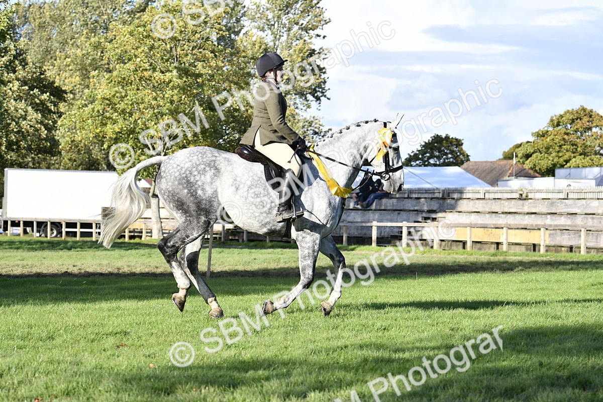 SBM_51712 - Working Hunter Supreme Championship
