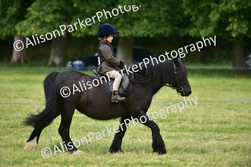 20260614-3639 - Class 15 - Prettiest Mare