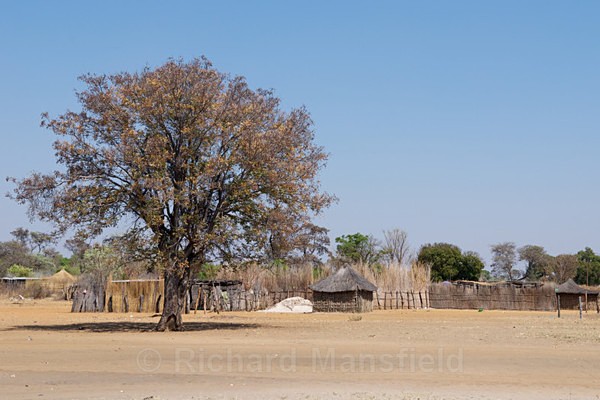  - African Journey