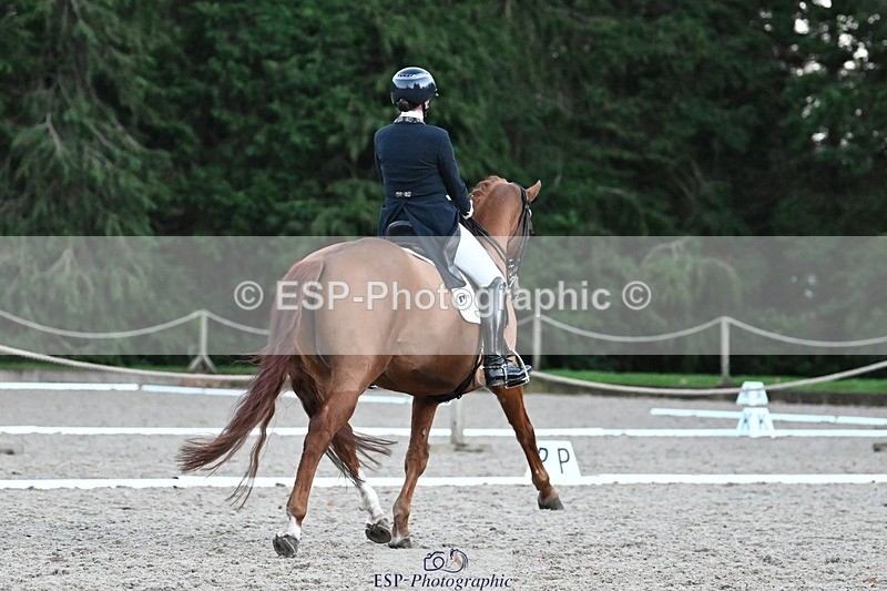 231110-163539-02685 - Cls 14 FEI Grand Prix