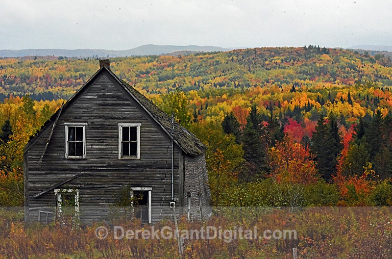 Old Homestead New Brunswick Canada - Old Barns & Buildings