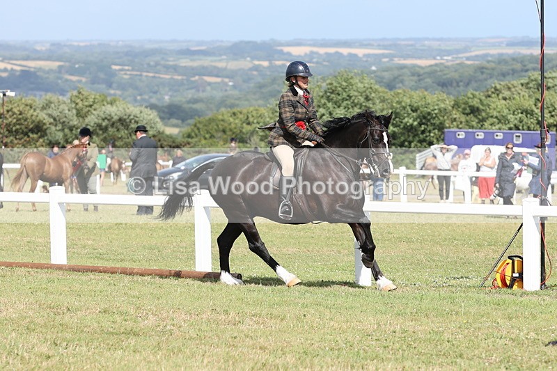 JPP_2467 - Class 19: Working Hunter 60cm