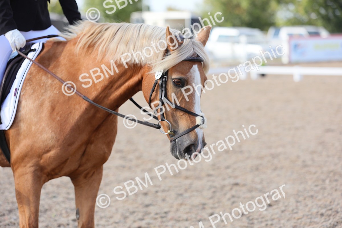 SBM_07749 - Class 33 Elementary 1