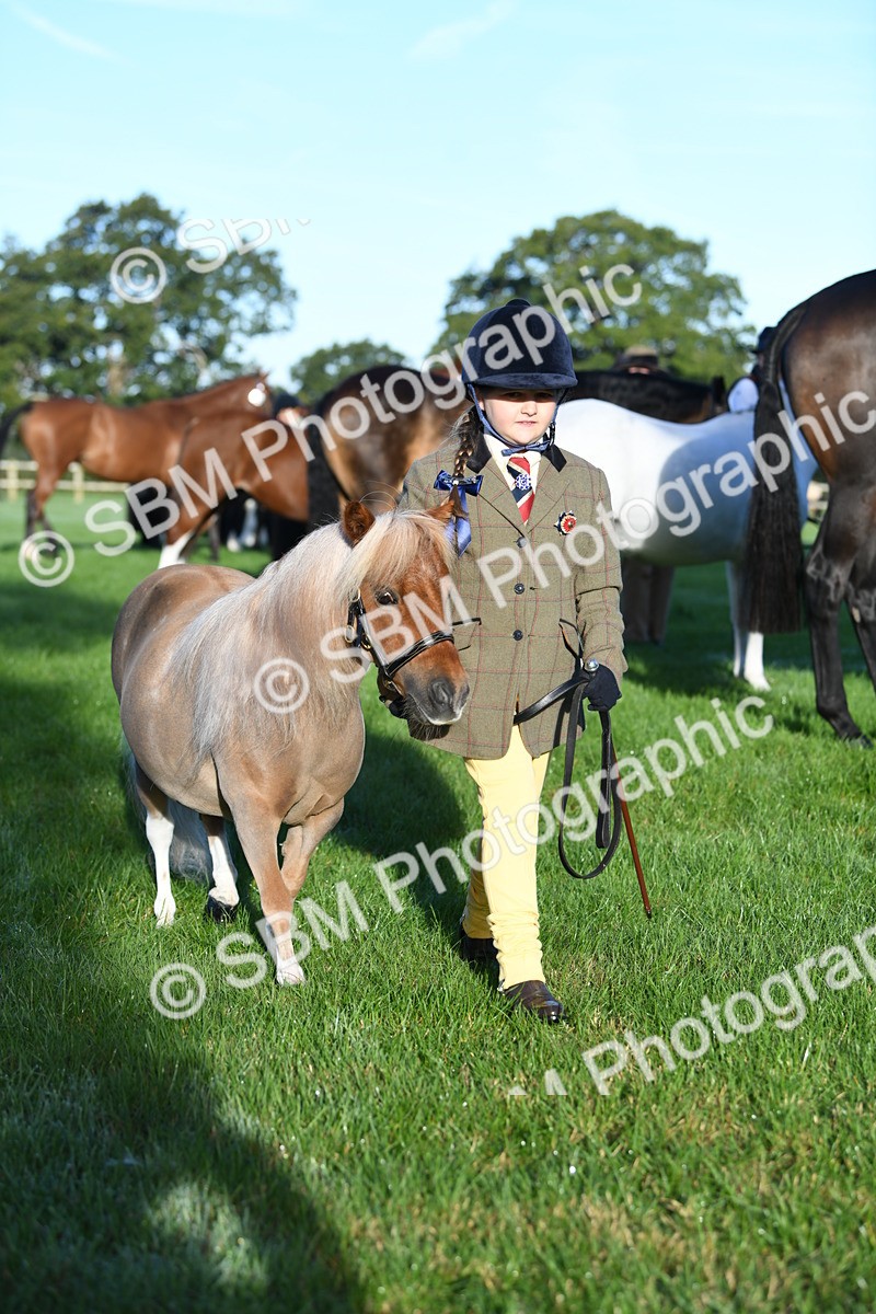 SBM_32753 - S15 - Condition & Turnout In Hand