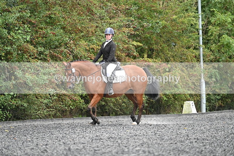 WJ7_3586 - Time 11:04 to 11:38