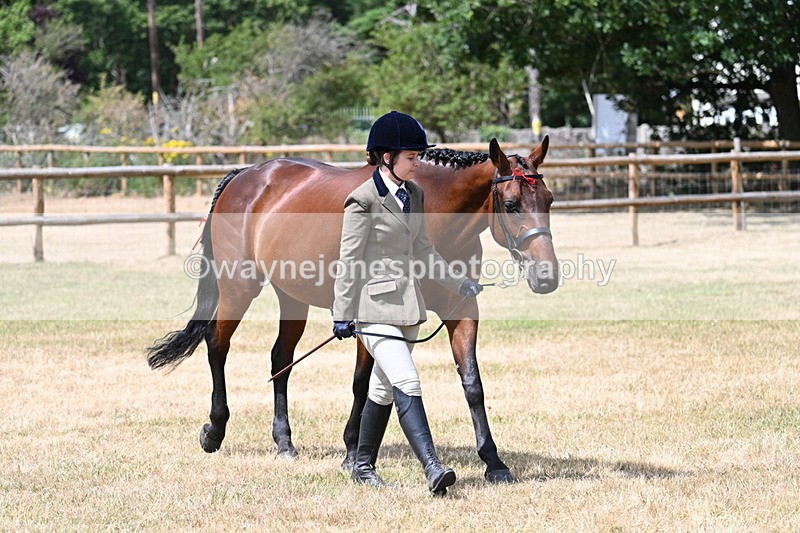 WJ7_1794 - Class 4a Prettiest Mare 14.2hh and over hand