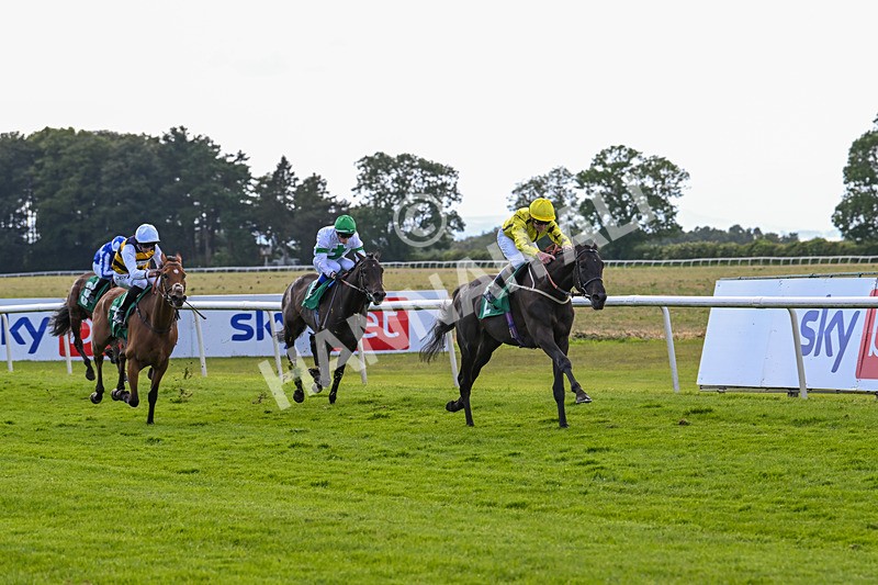 160624-Race 4-Align The Stars-8804 - Race 4