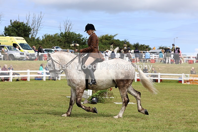 3E7A0271 - Class 6: Rising Star Maxi Cobs