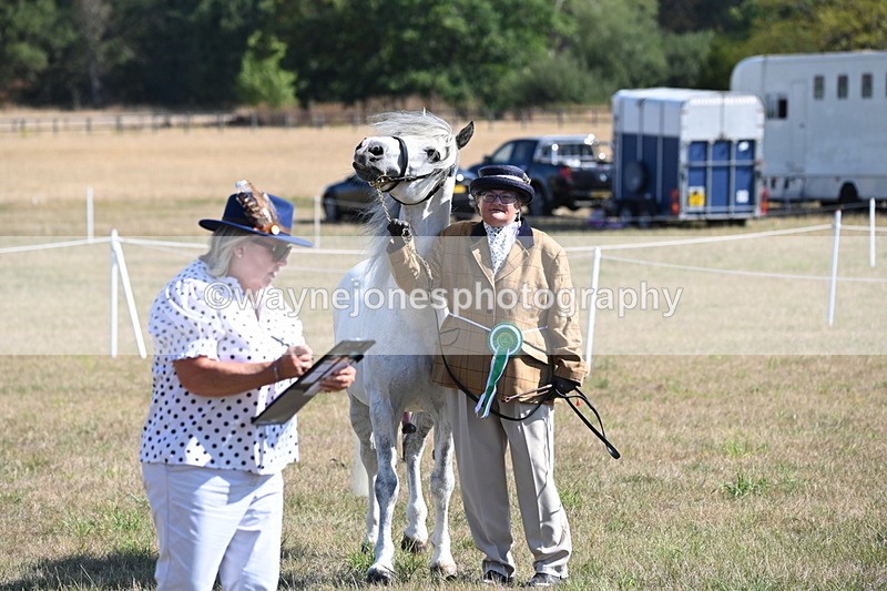 WJ6_4361 - Class 16 Condition & Turn Out