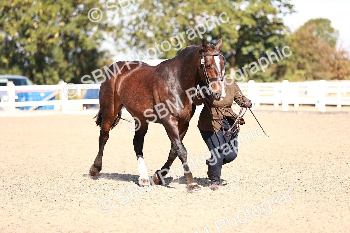 SBM_13244 - Class 405 - IH Show Cob