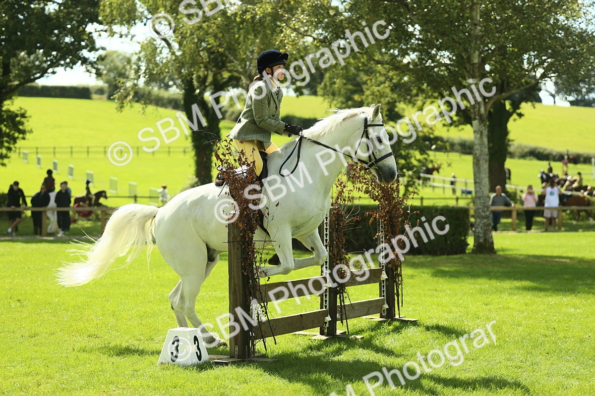 SBM_44539 - S30 - M&M Working hunter Pony