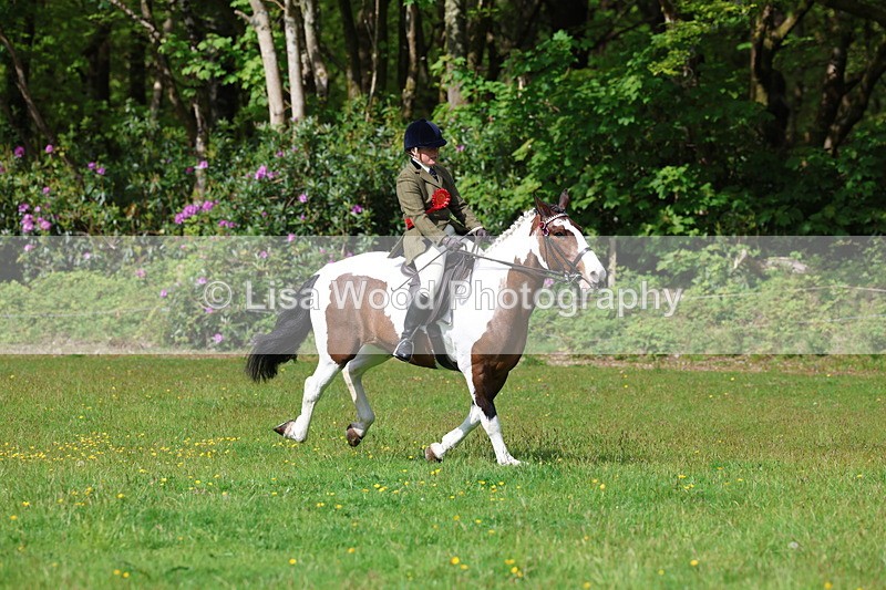 3E7A2654 - Working Hunter Championship