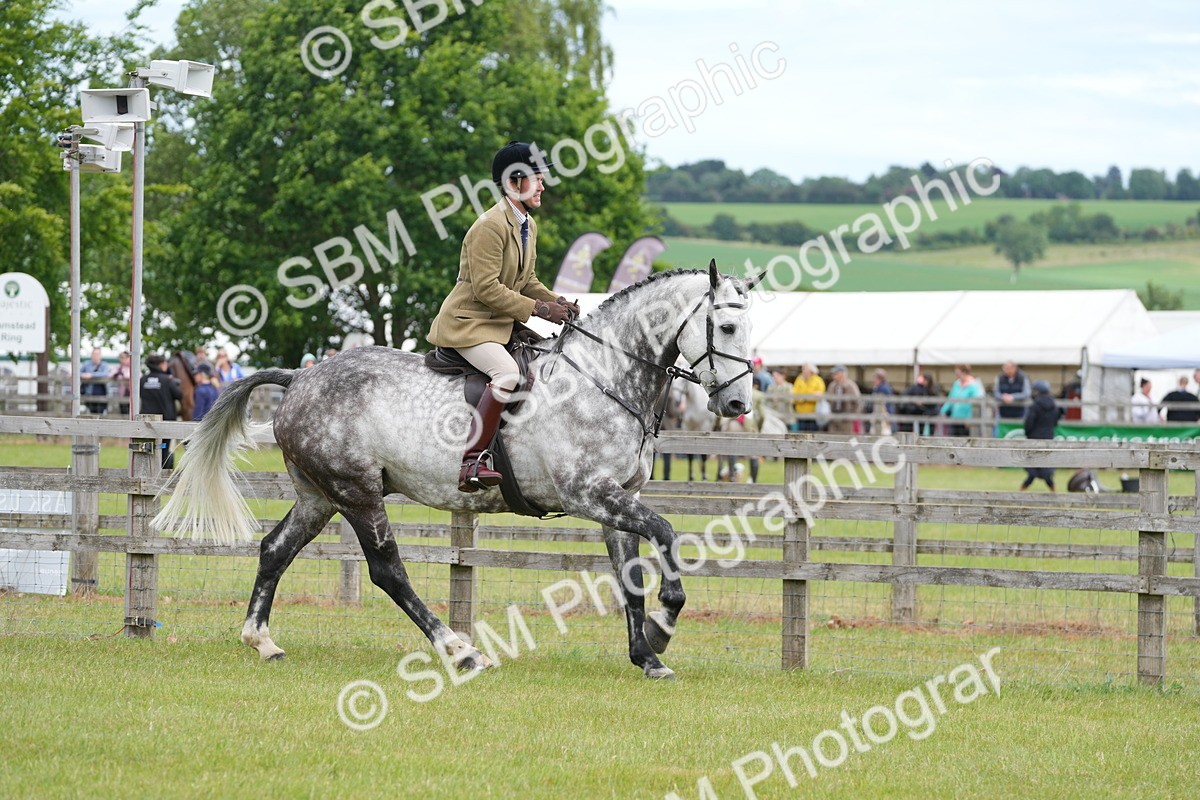 SBM_14877 - Class 100-102 - RIHS Working Hunter