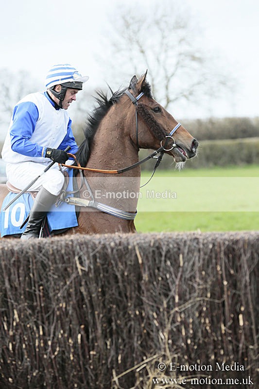 PtP 230319 217 - VWH Hunt Siddington Point-to-Point Racing 23/03/19