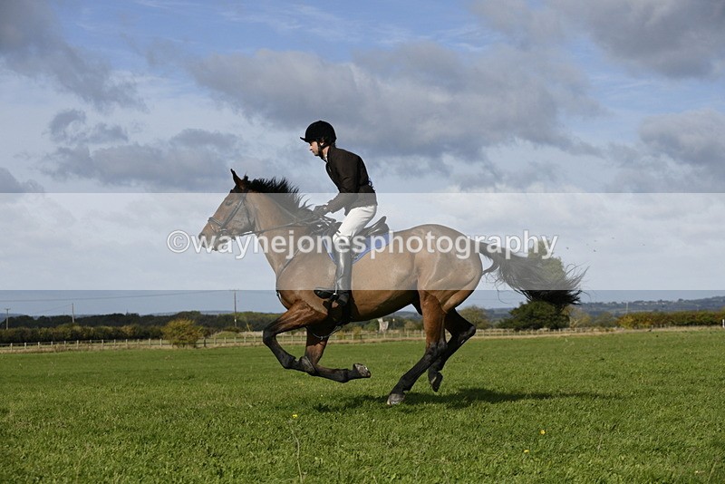 _DSC5752 - Time 10:49 to 11:23