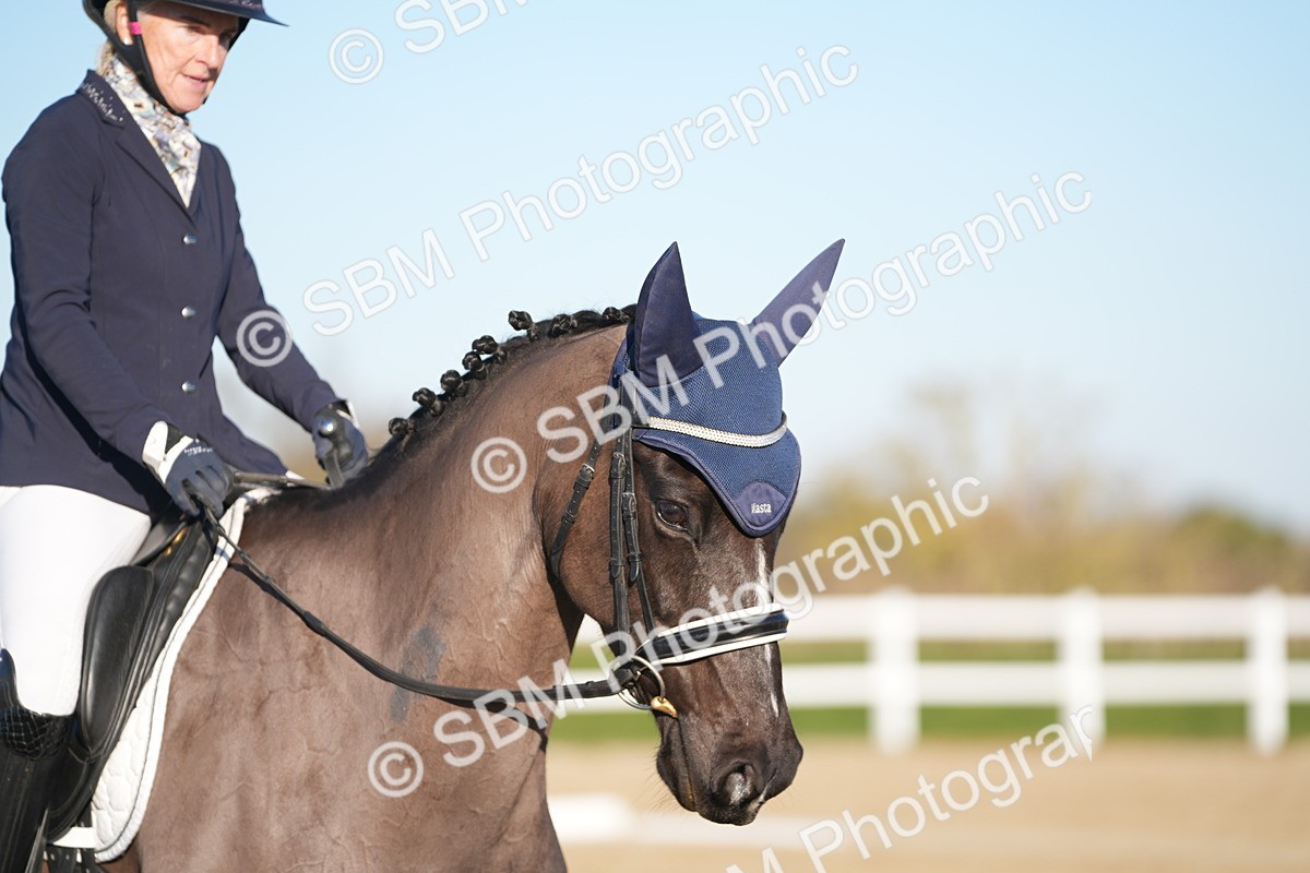 SBM_005596 - Class 6 - E1-80cm