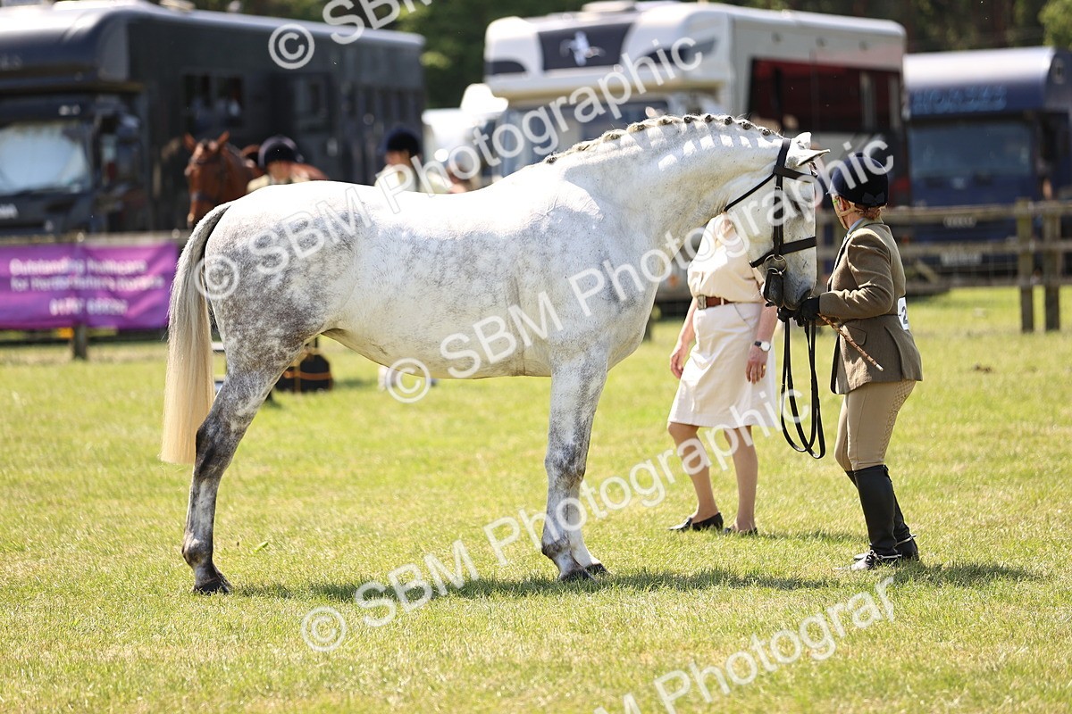 SBM_15212 - Class 79-80 - LIHS BSHA Rising Star Ridden Hunter
