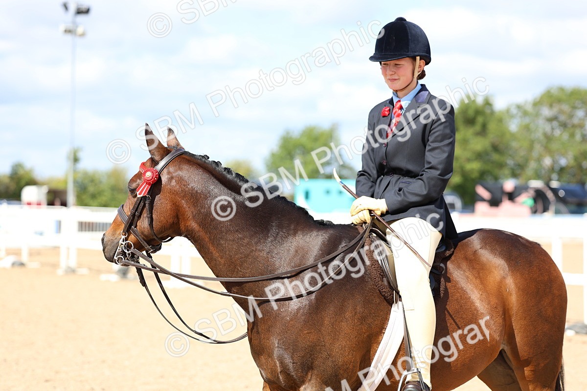 SBM_13321 - Class 311 - Ridden Show Pony Show Hunter Pony
