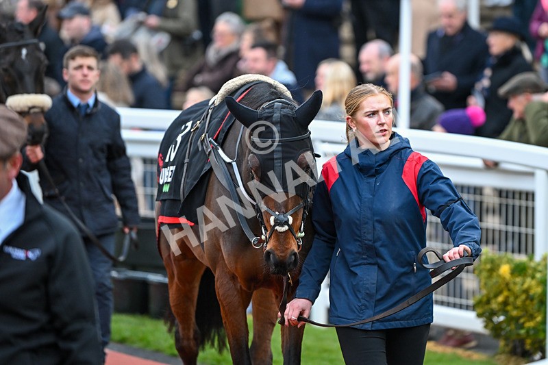 171124-Race 5-Paddock-Jacovec Cavern-3684 - Race 5