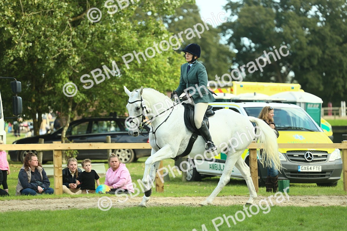 SBM_50710 - S33 - Working Hunter & Working Show Horse
