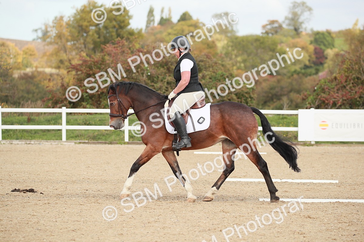 SBM_002183 - Class 6 - Elementary 5