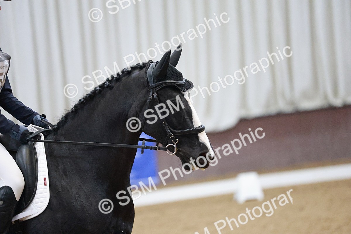 SBM_004632 - Ring 3 - International -  Working Hunter Classes 23-2-25