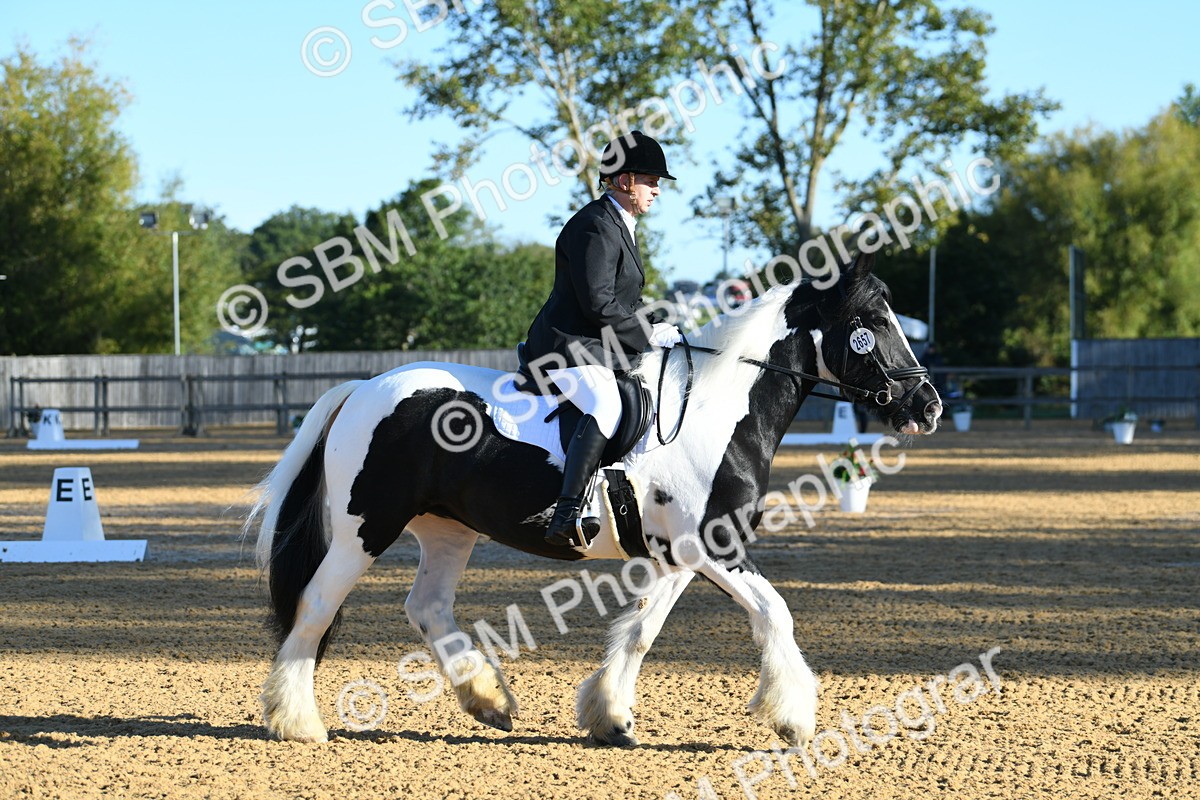 SBM_14429 - D4 - Small Tour Championship - Intro B