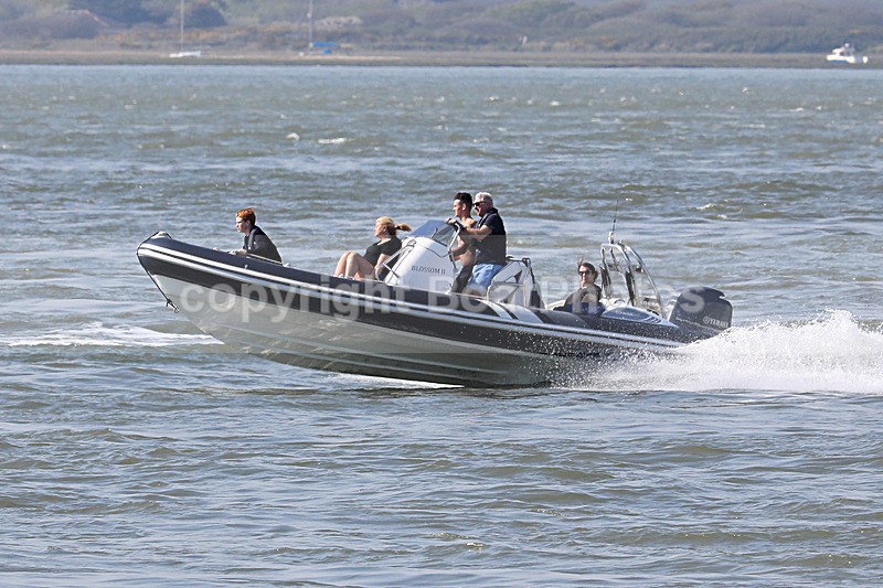 190420 BLOSSOM II - COBRA RIB 1Y3A8626 - RIBs, Tenders, Dories, Dinghies